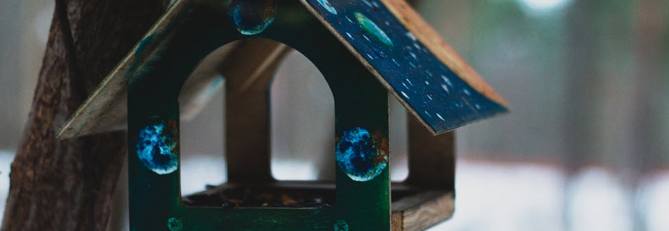 ciekawe karmniki dla ptaków